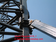 China crane supplier QTD125 luffing jib tower crane price